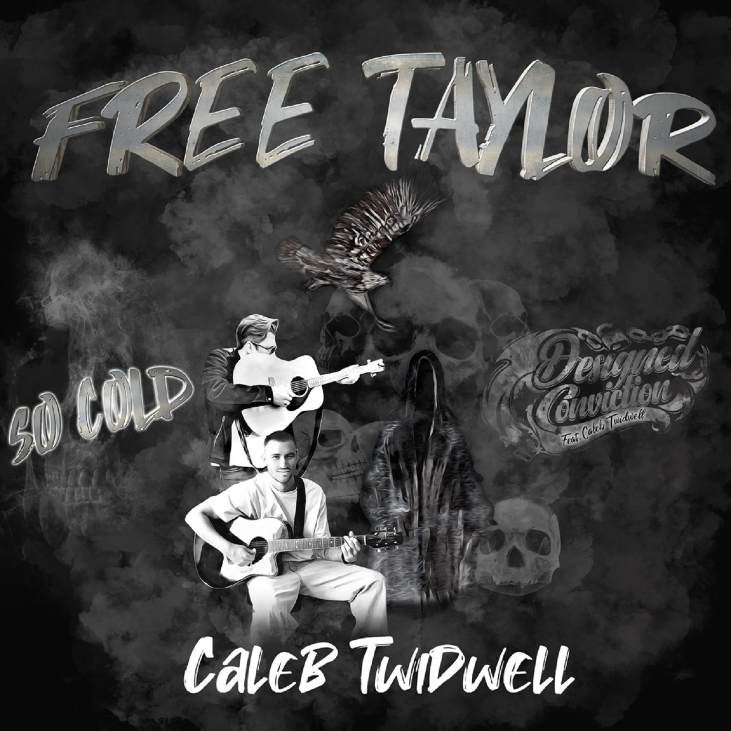 FREE TAYLOR PROJECT